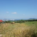 사암부동산공인중개사사무소 이미지