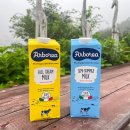 사르데냐 오토캠핑장 | 강화도 수영장이 있는 아르보리아 캠핑장 사르데냐 오토캠핑장 B존 2박 내돈내산 이용 후기