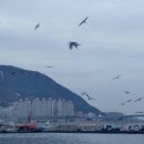 남부민초등학교 이미지