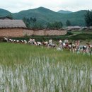 기성초등학교 이미지