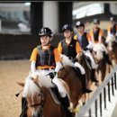 홀스마스터즈 승마클럽 이미지