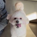 24시 인천 이음동물의료센터 이미지