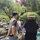 이준열대어 이미지