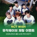 Wish 마이데일리