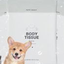 베이직바디 이미지