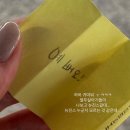 실버 브레인레크레이션 자격증 과정(재능기부 필수 참여) | [공지] 8개월간의 N돌핀을 마치며•••