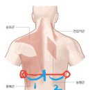 백스윙에서 발바닥 리듬타기 ㅡ지면반력 사용하기 이미지