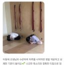 화곡요가 | 화곡, 우장산 요가 | 왜 한번 오면 계속 다니게 될까요?(후기)