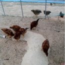 원스농장 이미지