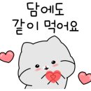 백소정전주도청점