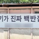 복수백반