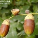 포동PC 이미지