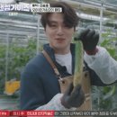 신승호 농장 이미지