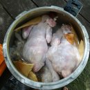 트라툰글로벌