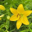 서울공인중개사무소 이미지