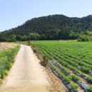 정선공인중개사사무소 이미지