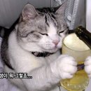 공감 이미지