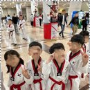 경희대XPL태권도장 이미지