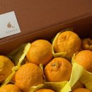 몽귤몽귤농원 이미지