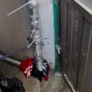 약속 몰아 잡은 자의 최후