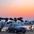 뉴피앙세 이미지