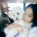 오해피펜션 이미지
