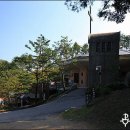 배티로 Daum카페
