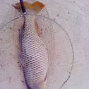 산타페모텔 이미지