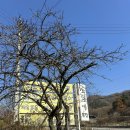 소희네묵집 이미지