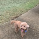 멍문살롱 이미지