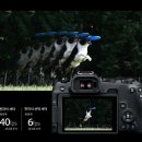 주식회사 오토허브서비스 이미지