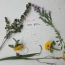 세천유치원(공립) 네이버블로그