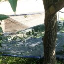 내고1농로 이미지