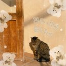 UR(경주시)-[포석로]-하-9 | 경주 황리단길 가볼 만한 곳 추천｜주차·카페·베르꾸뻬 두쫀쿠·소품샵·소금빵 맛집