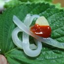자연산회센타