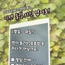 나부터 바로알기 #2. 며칠? 몇일? 이미지