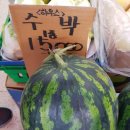 대박집야채청과