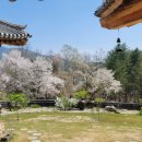 한옥(강산재) 이미지