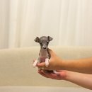 퍼피 켄넬 이미지