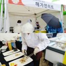 해가연미트