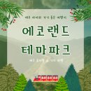 🚂 제주도 에코랜드테마파크 완벽 후기 - 곶자왈 숲을 기차 타고 여행하는 제주 유일의 테마 관광지