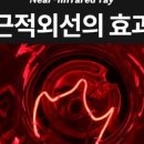 고양이 미용실 이미지