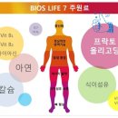 바이오스라이프 이미지
