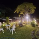 스테이포브 | 🏕 잔디 위 캠프닉부터 무료 바베큐까지, 호수 품은 장성 스테이포브 펜션 후기