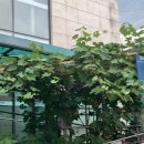 송중문화정보도서관 | 송중동도서관 송중문화정보도서관 공사로 문을 닫네요~~