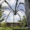 The Infini 이미지