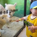 수달앤쥬