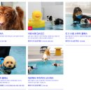 KNOLLO(놀로) 이미지