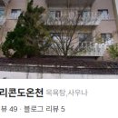 블루밸리콘도온천