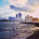 자락협재 이미지